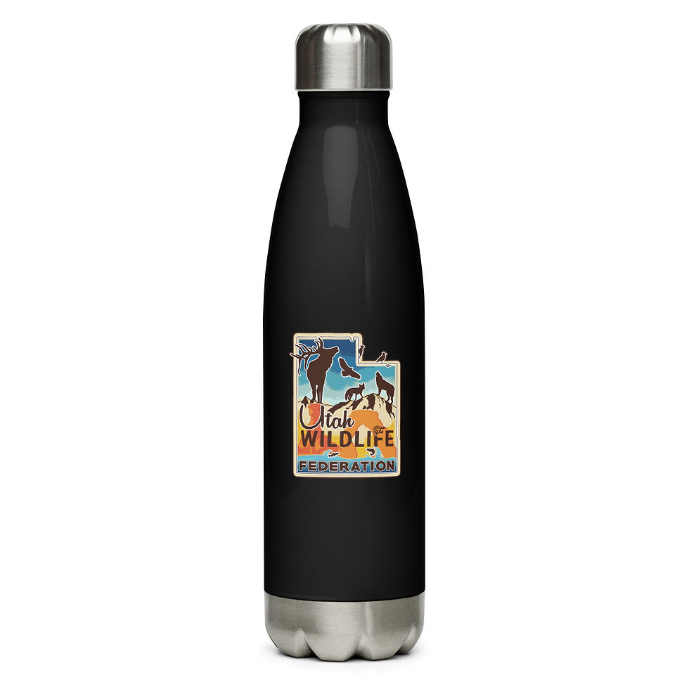 Thumbnail: Stainless steel water bottle