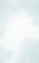 Tree background.png