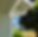 Karen D 3.png