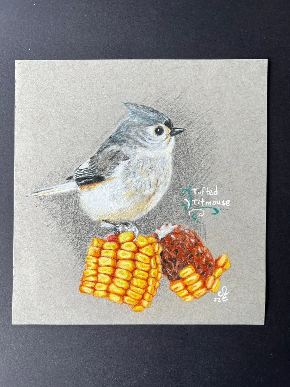 _Tufted Titmouse_ JE.webp
