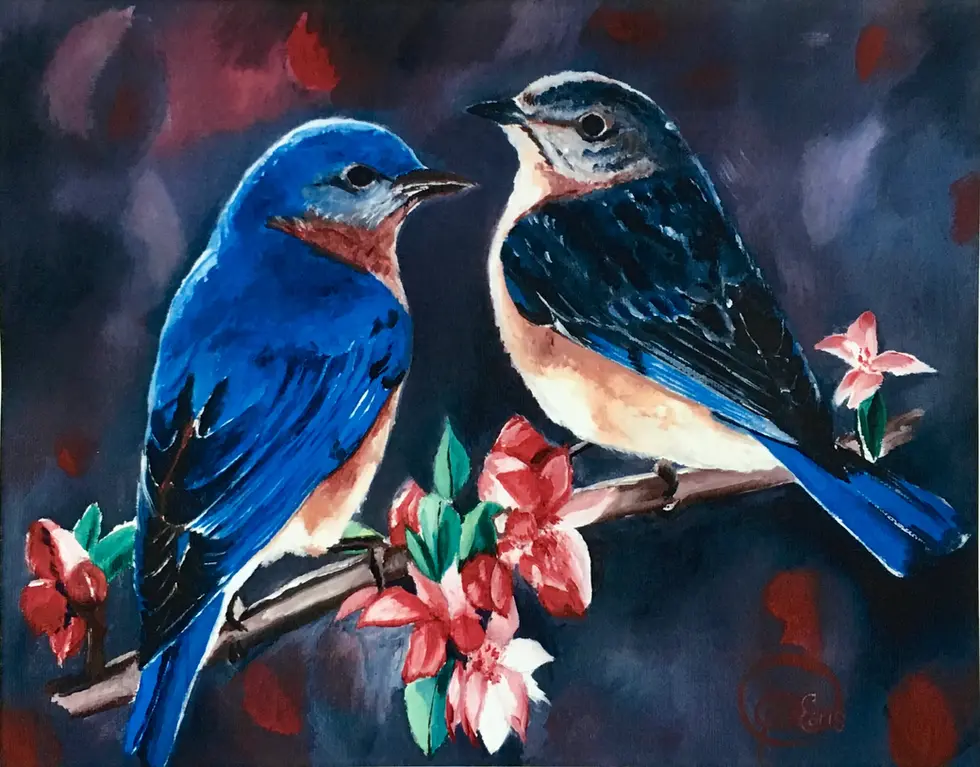 _Pair of Eastern Bluebirds_ JE.webp
