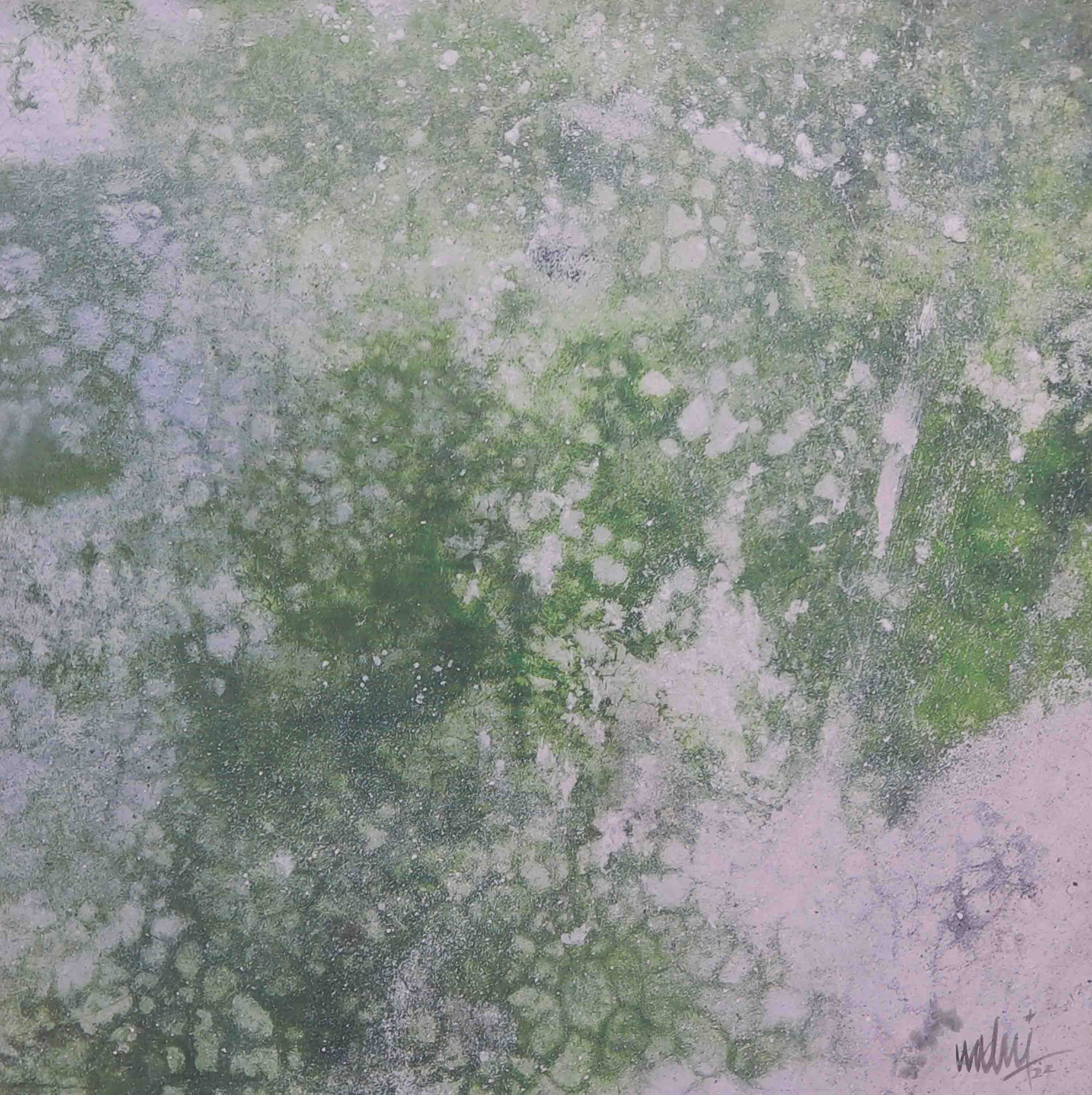 Forms in Nature 2