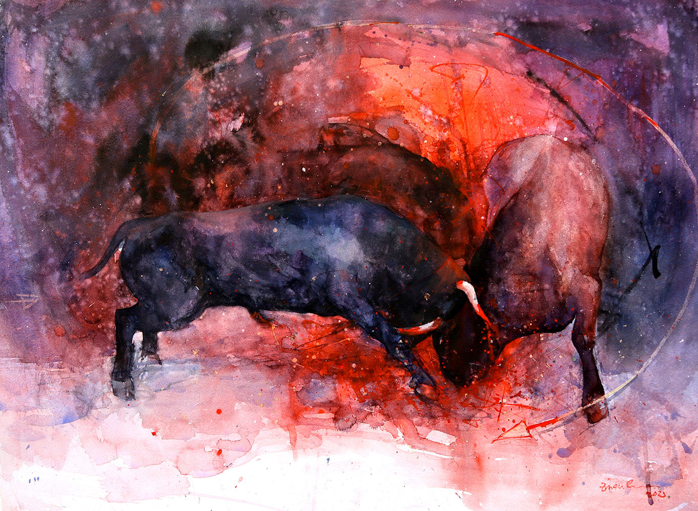 Bull Fighting 1