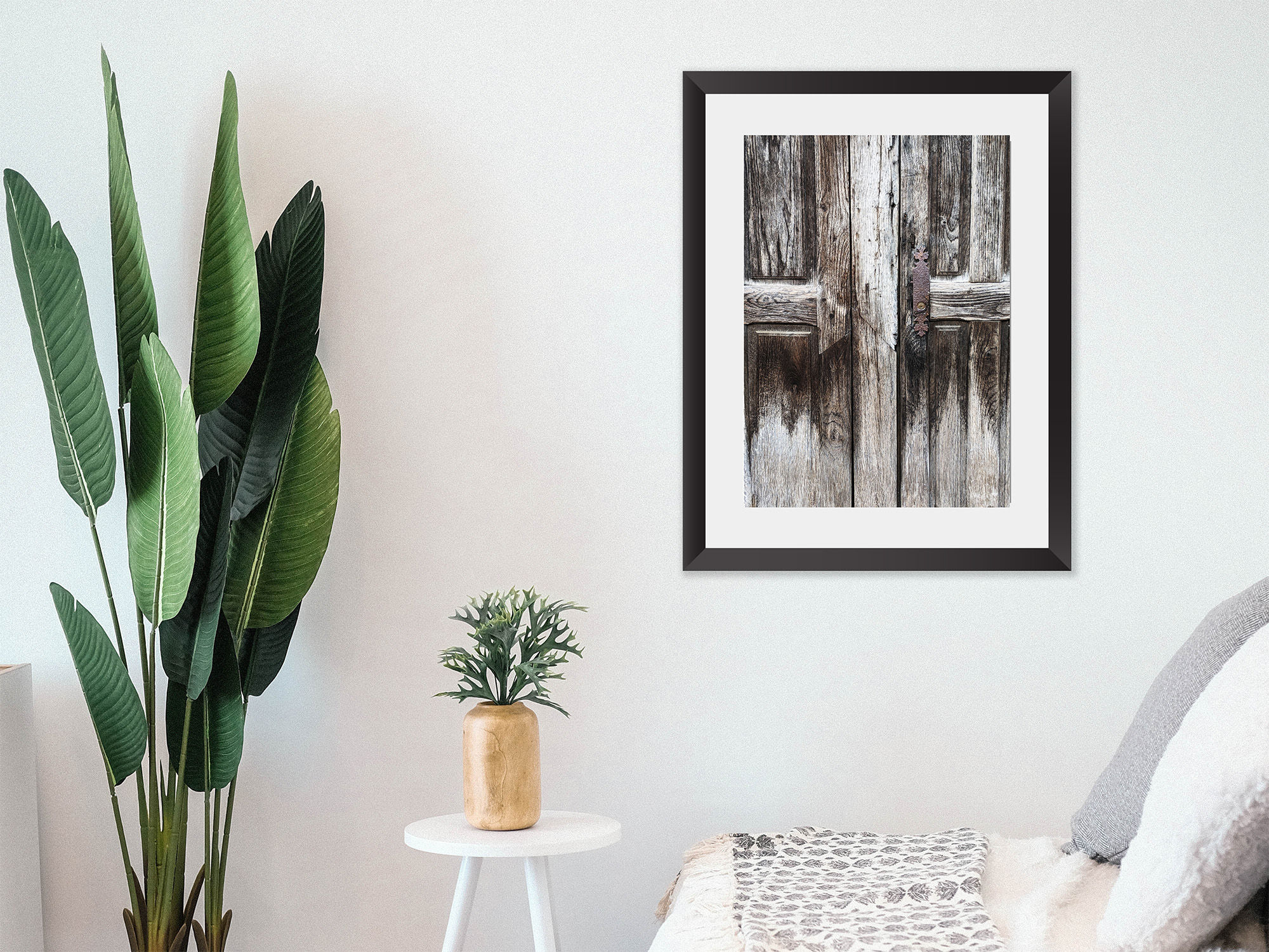 Aged Door | Photography