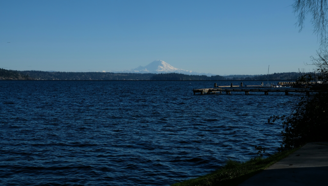 Madrona Beach Social