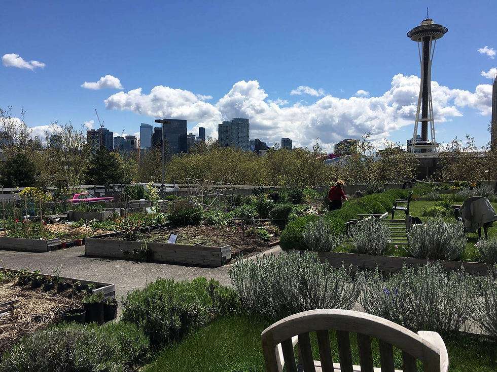Roof Garden Gathering