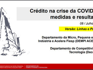 Crédito na crise da COVID-19:
medidas e resultados