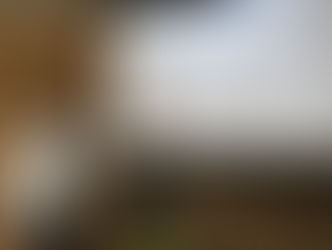 Palestra: Estratégias digitais para aumentar as vendas