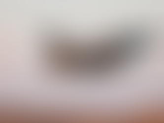 Assessment of Israel's 'Operation Days of Repentance'