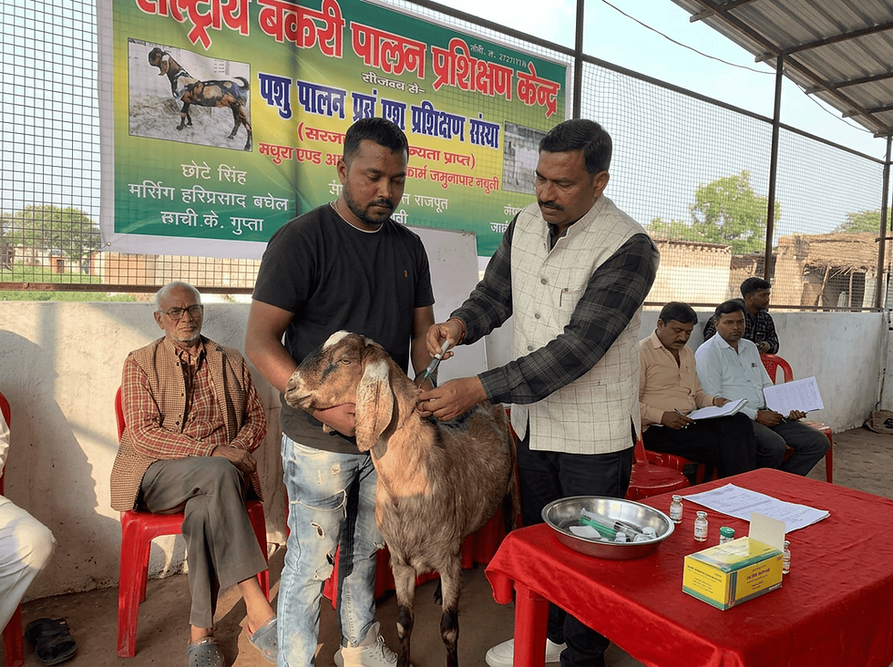 image_5b369f3e (1) (1).png