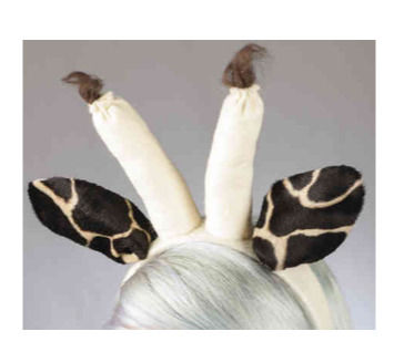 Giraffenohren nach innen gerichtet