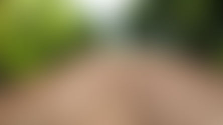 El desafío del polvo en superficies no pavimentadas: Una solución con Dust Control