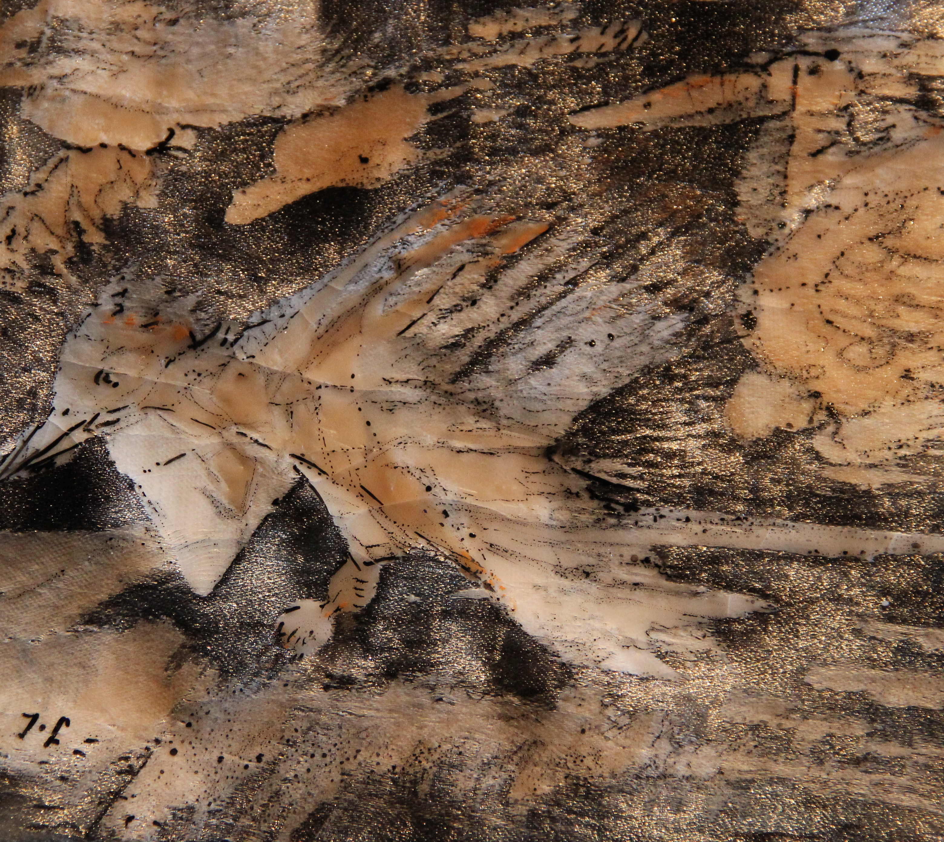Bestiaire 12