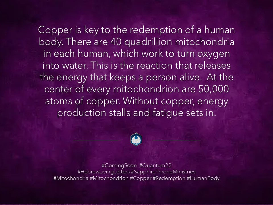 COPPER IS KEY TO THE REDEMPTION OF A HUMAN BODY