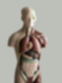 AEnB2UpA7cXKDWe10MpmCLpNIUv9bGnqvyNSCH7-