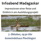 Logo_DMVE_Madagaskar.jpg