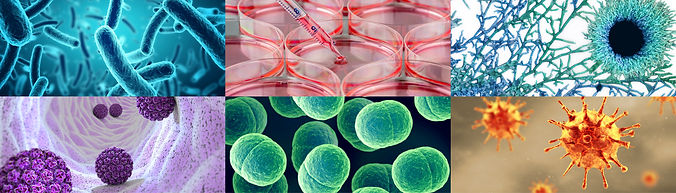 Cover DECIDE_V01_Zeichenfläche 1.jpg