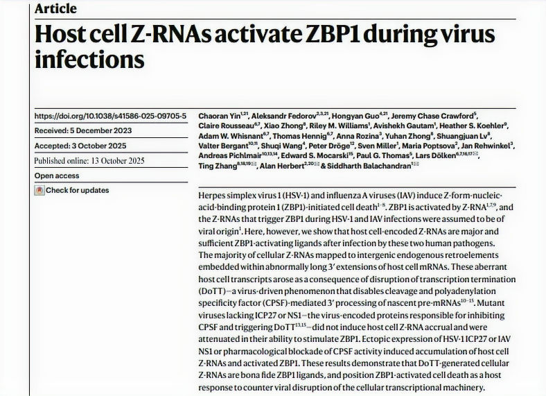 Screenshot 2025-11-24 133014_edited_edit