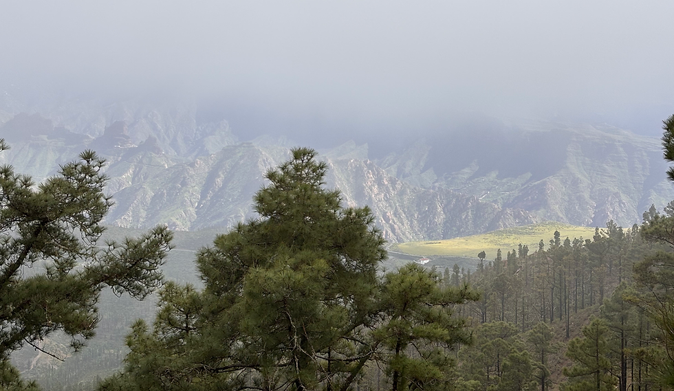 Tamadaba Nemzeti Park, Gran Canaria