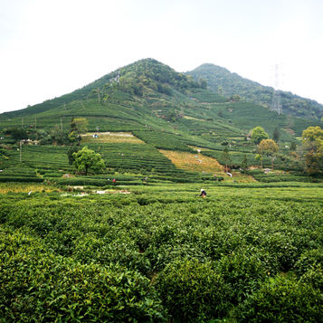 Kirándulás Longwu faluba