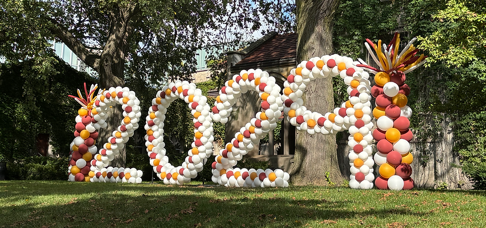 University of Chicago, IL