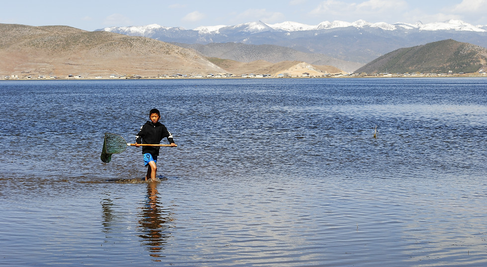 Napahai lake, Yunnan