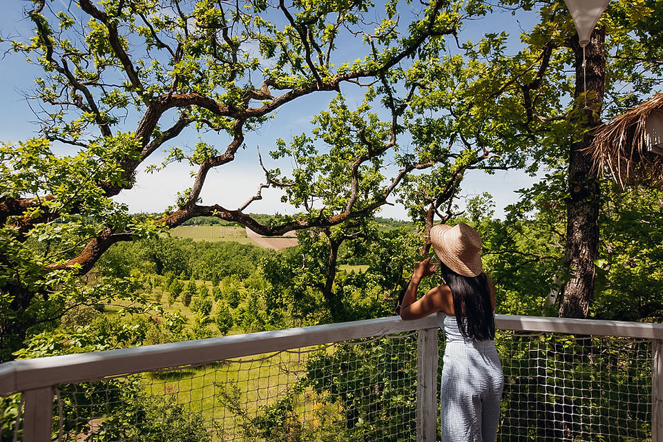 cabane avec spa vue sur truffière pella roca