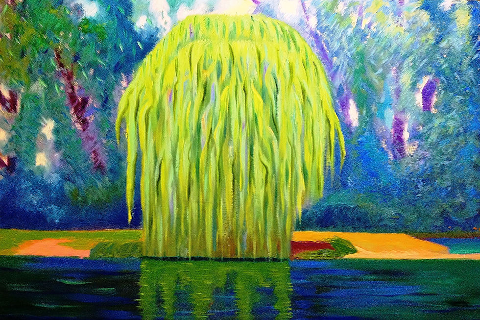 Weeping Willow at Tiergarten Germany
