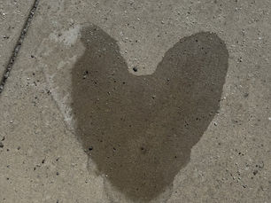 Heart shaped puddle on the concrete