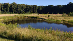 IMG_20160718_190247754