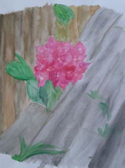 IMG_20170728_190137763