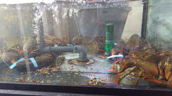 IMG_20180307_150122573