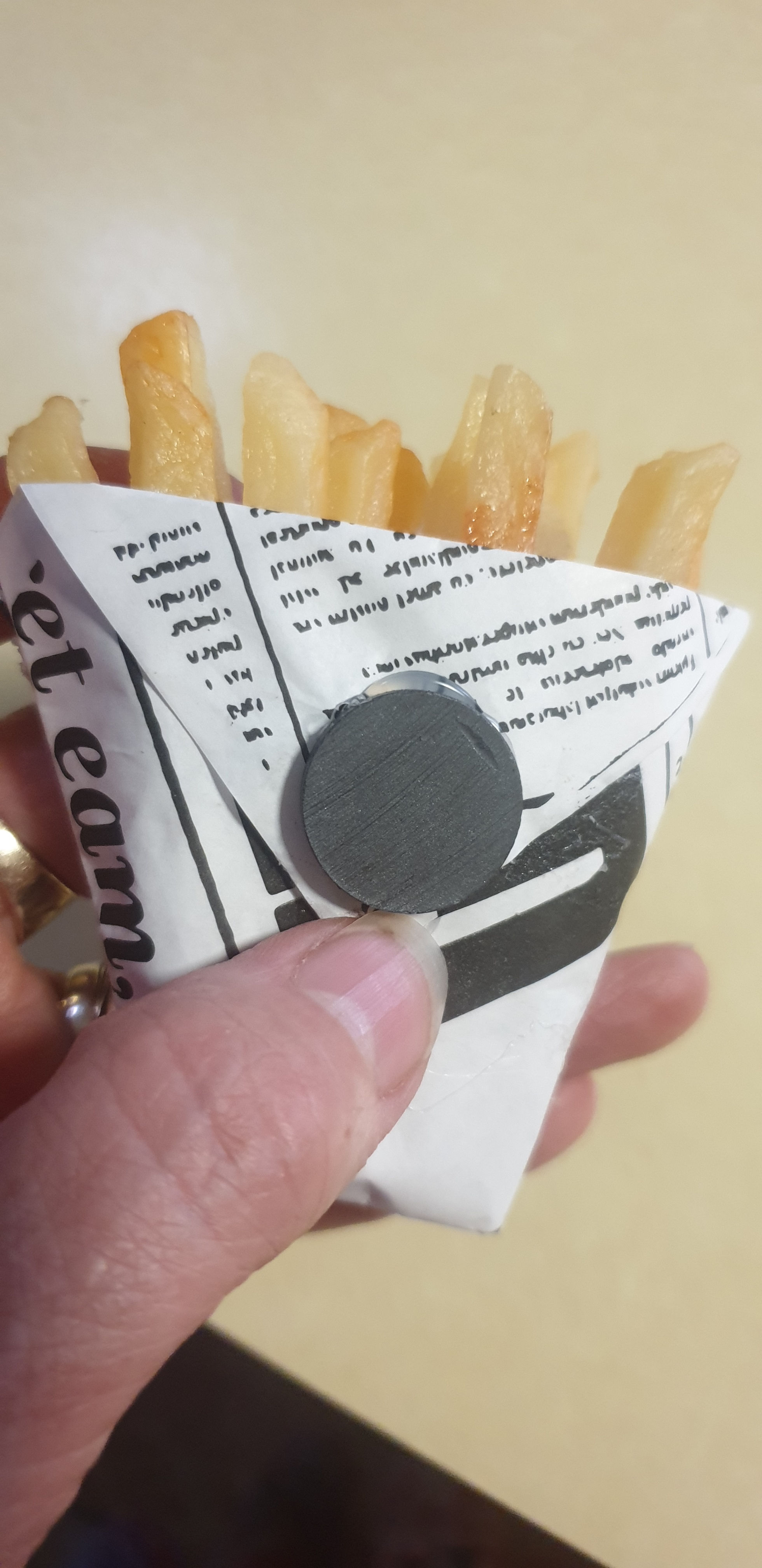 Bag of fries  fridge magnet