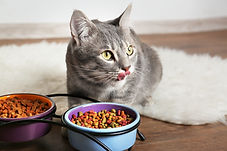AdobeStock_140702978.jpeg
