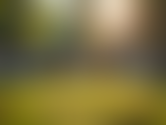 Empowering Communities Through Grassroots Activism Overview