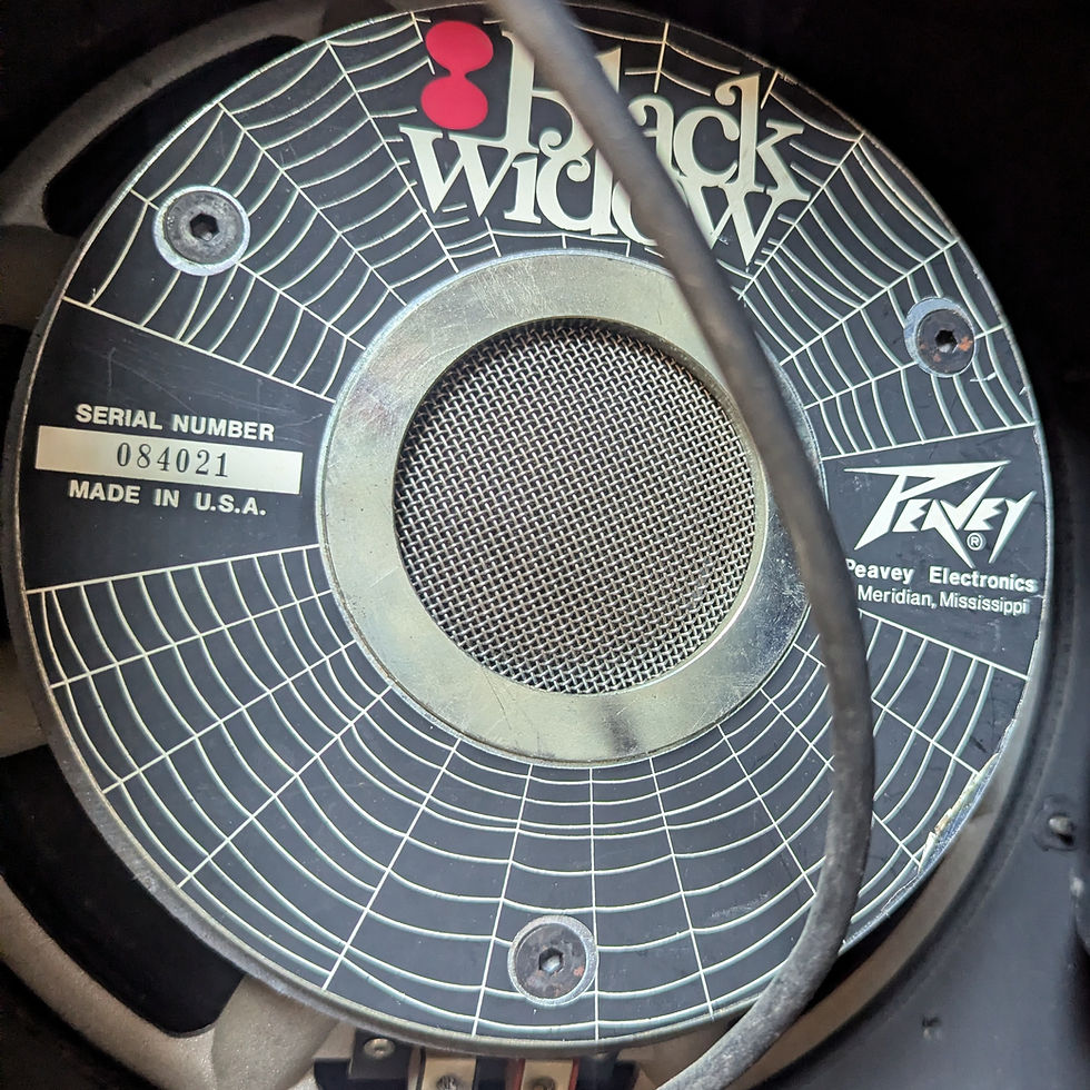 Thumbnail: Peavey Mace VT 2x12 Combo w/ Black Widow Speakers
