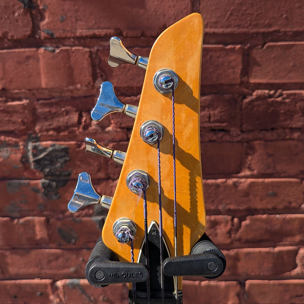 Thumbnail: Carvin LB-20 Fretless Bass