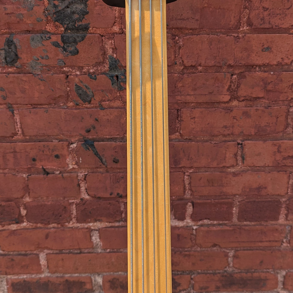 Thumbnail: 1978 Fretless Precision Bass Neck w/ 2018 Fender Player Body