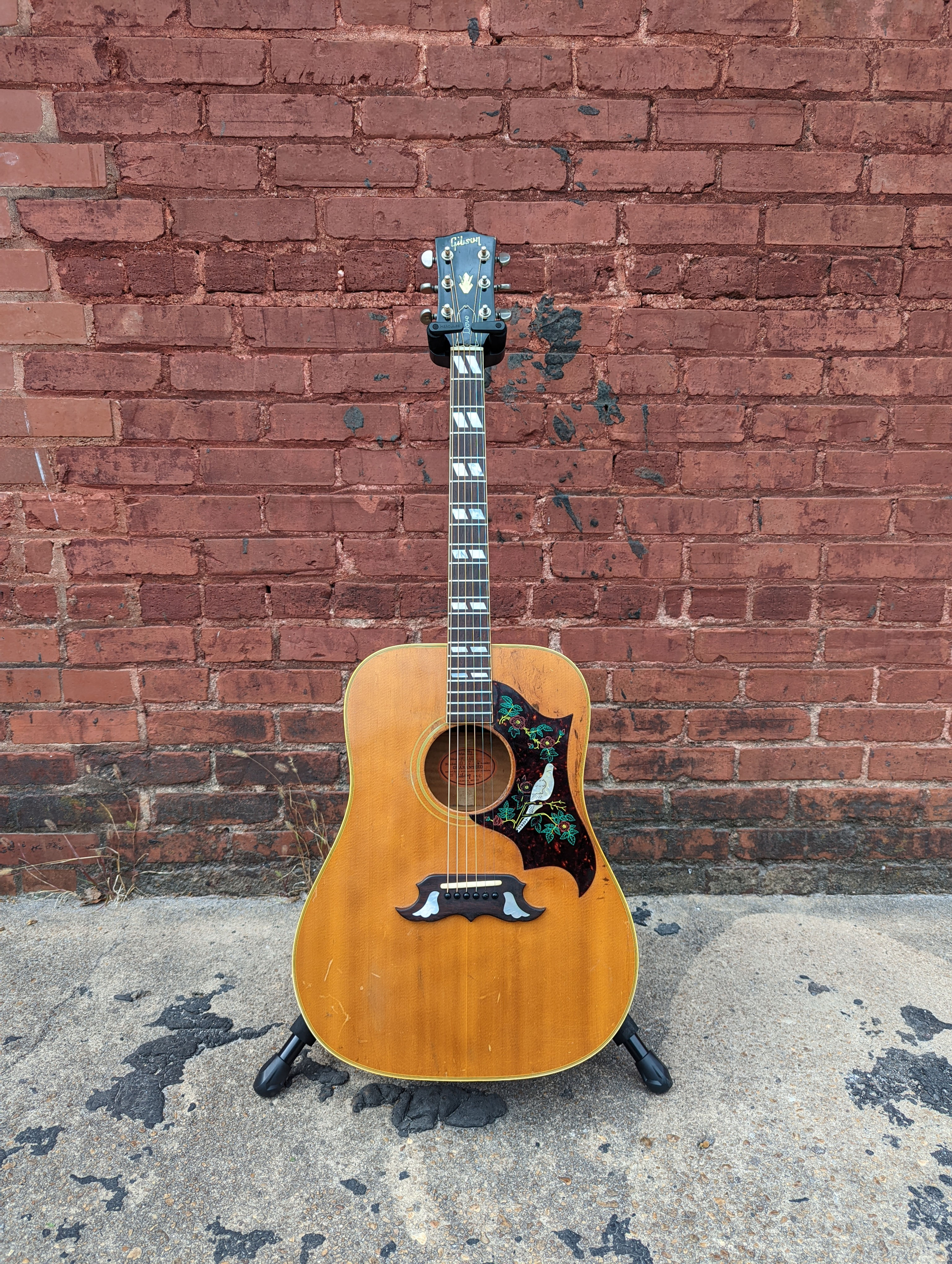 1965 Gibson Dove Natural