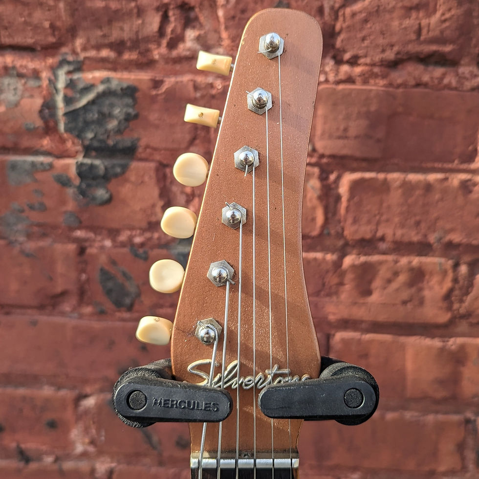 Thumbnail: 1961 Silvertone 1415