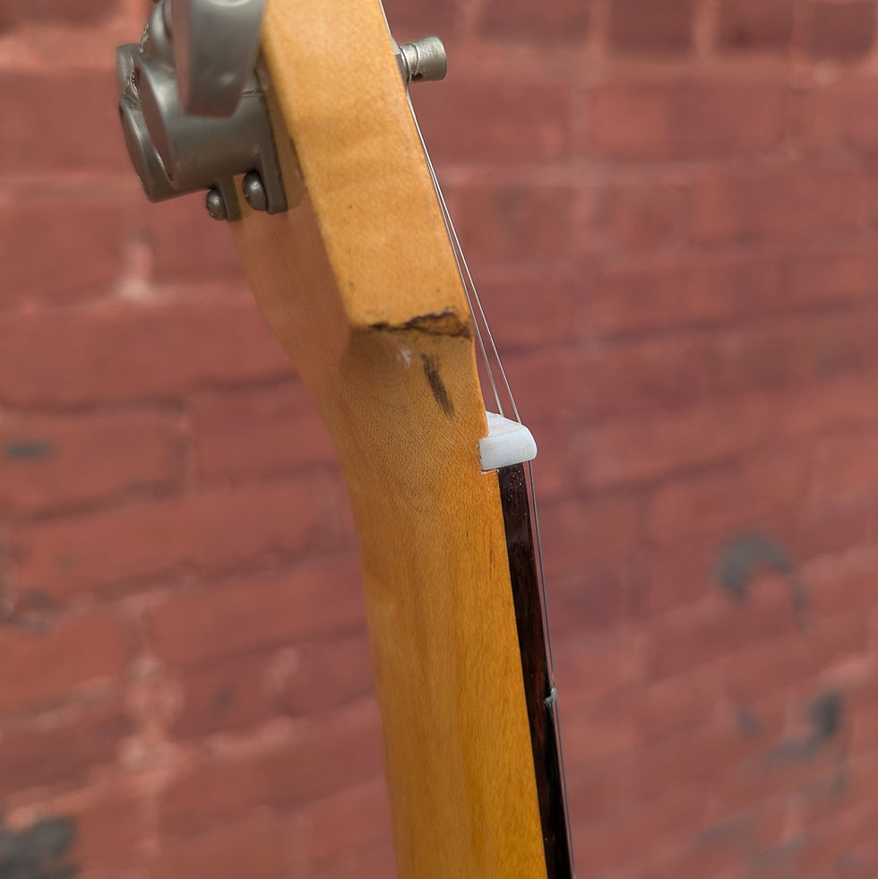 Thumbnail: 1969 Dobro DM33 Left-Handed