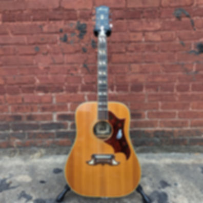 1971 Alvarez Dove