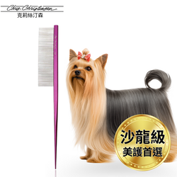 美國克莉絲汀森