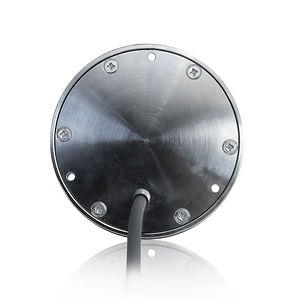 MARLIN_100_rear.jpg