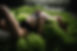 Ottawa Boudoir Photographer