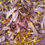 Thumbnail: organic blue lotus