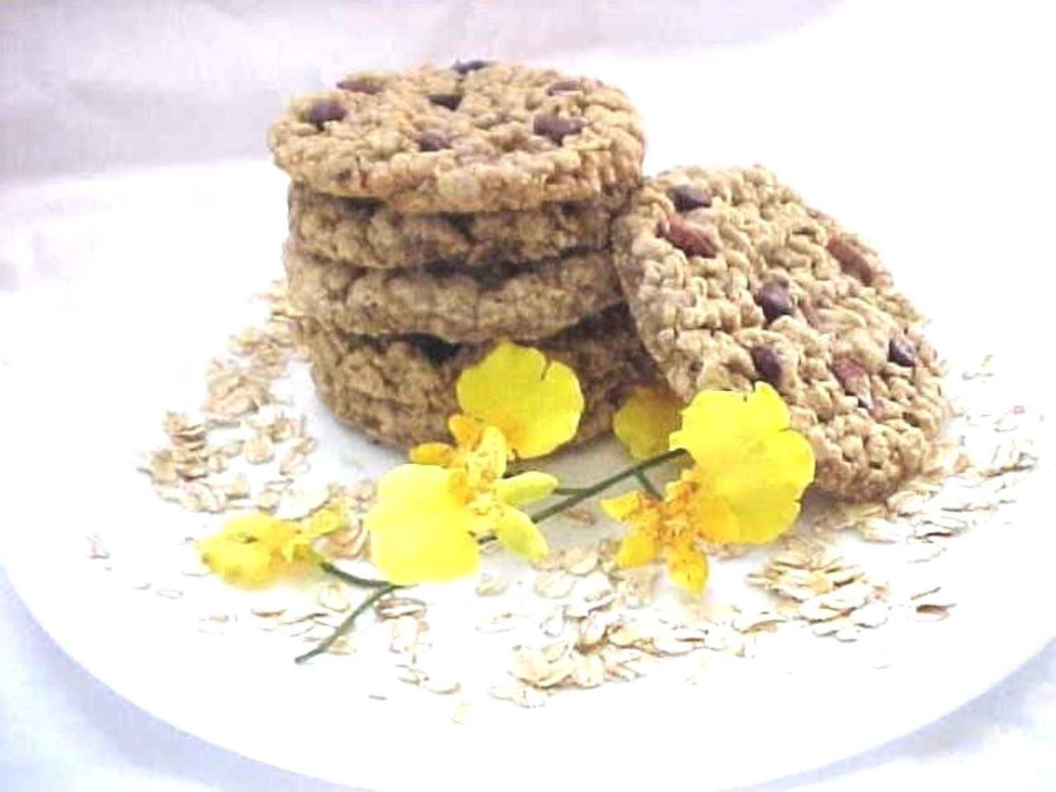 Pecan Oatmeal Assortment Awesome Oat Cookies 6 Count Fresh Baked Gourmet Cookie