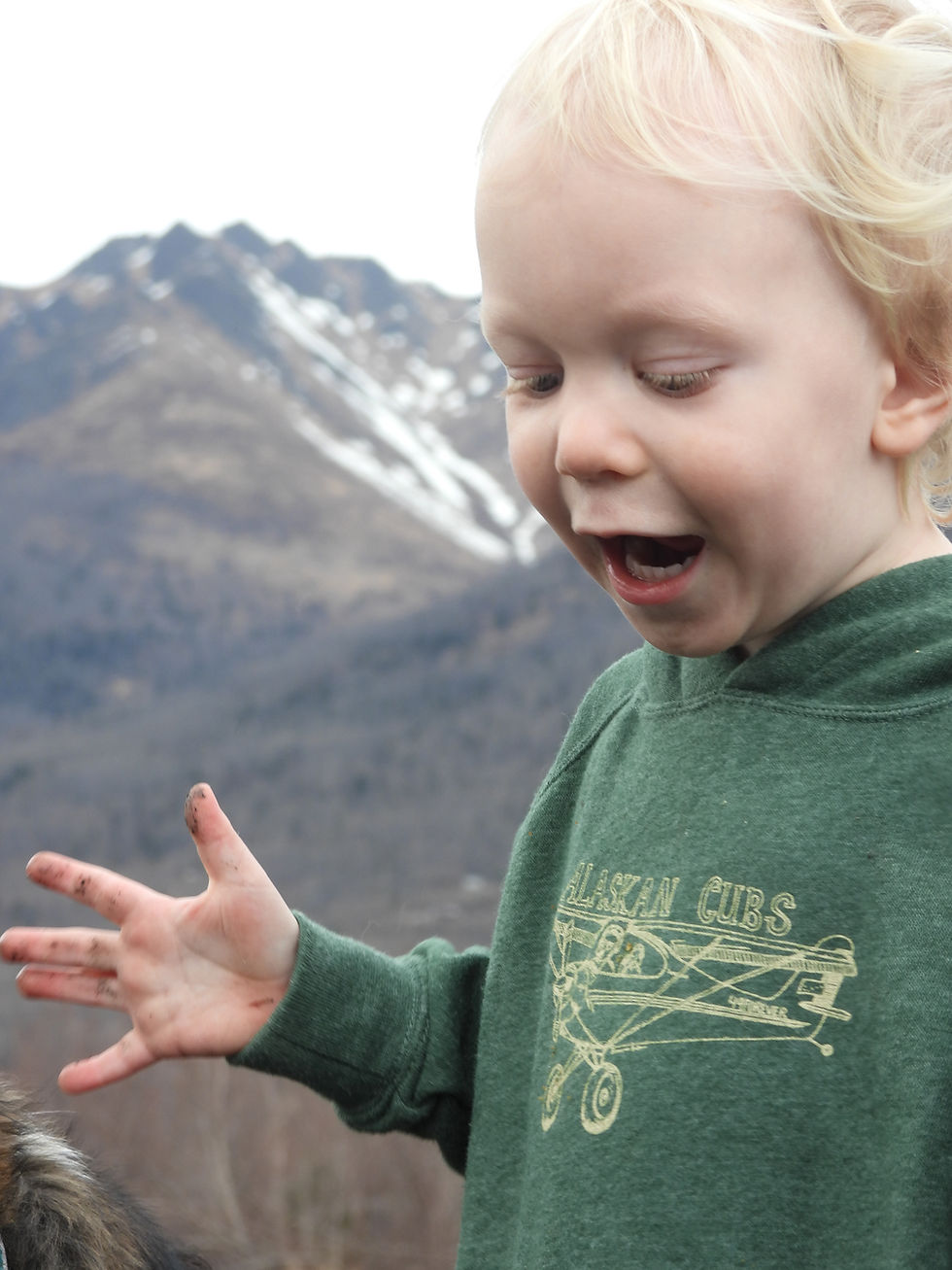 Thumbnail: Toddler Hoodie