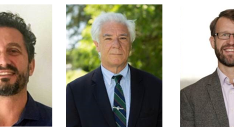 Terapia promisoria para el dolor crónico