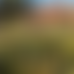 Día de la Acción Ambiental por la Cuenca Matanza Riachuelo